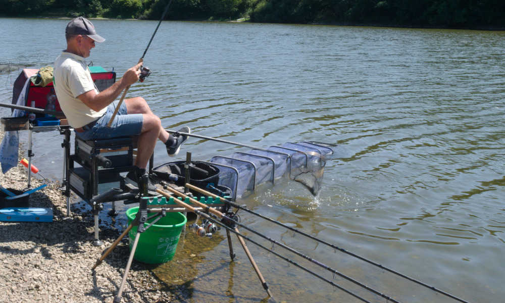 mise à l'épuisette'