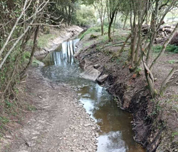 nettoyage ruisseau la Flachausière après