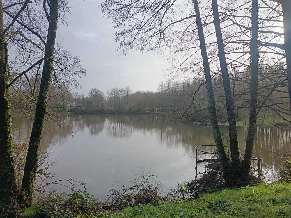 étang du Martin Pêcheur