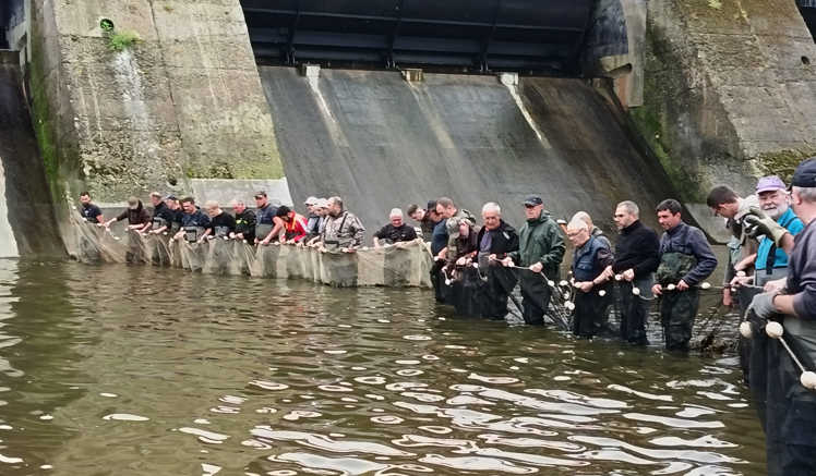 pêche de sauvegarde