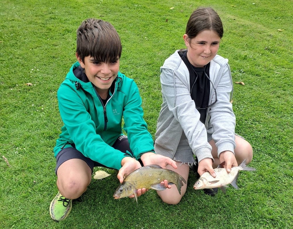 une tanche et une brème