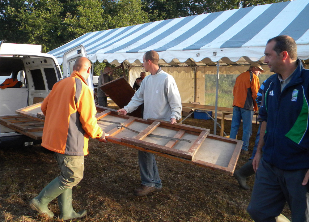 une tanche et une brème