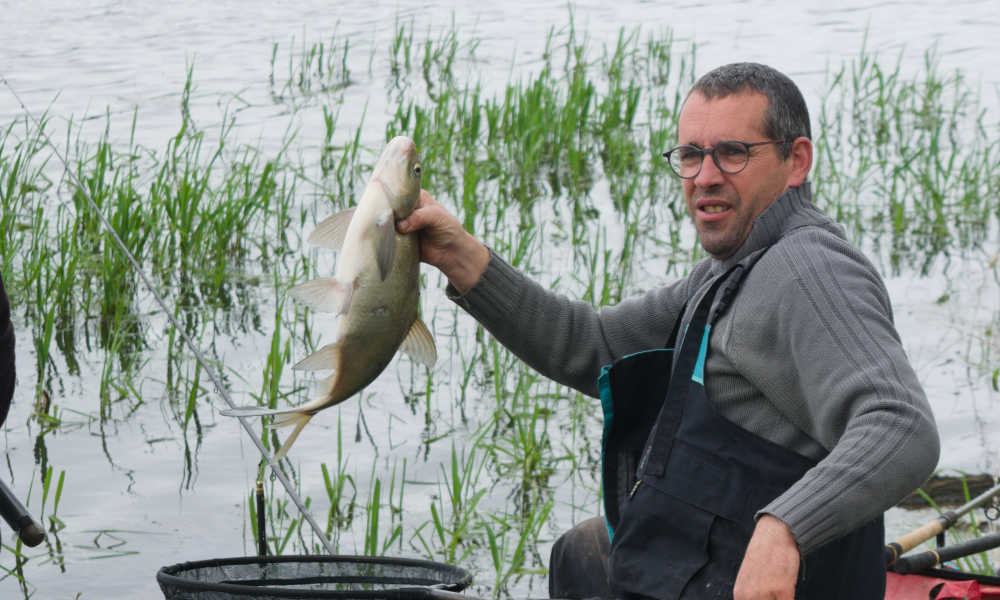 poisson_3