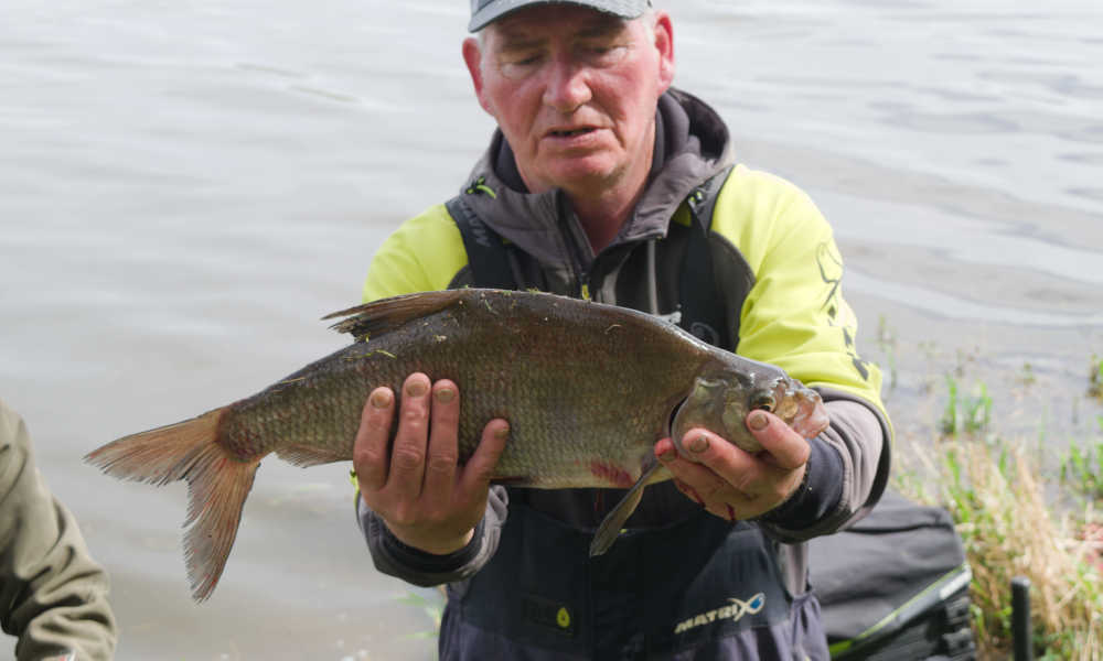 poisson_8
