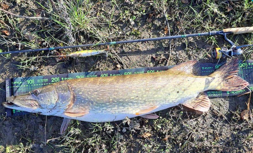brochet 102cm